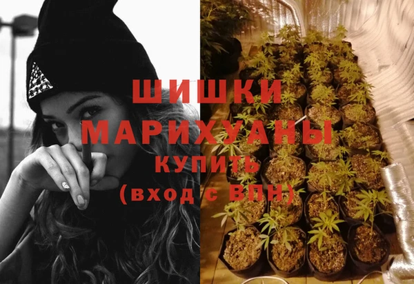 ПСИЛОЦИБИНОВЫЕ ГРИБЫ Балахна