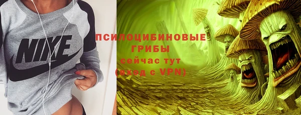 ПСИЛОЦИБИНОВЫЕ ГРИБЫ Балахна