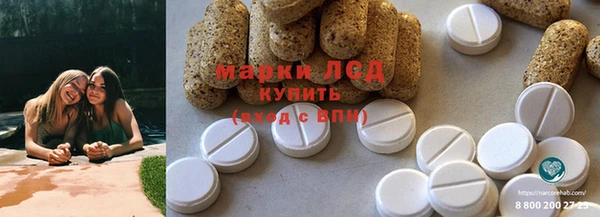 ПСИЛОЦИБИНОВЫЕ ГРИБЫ Балахна