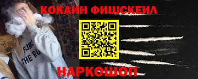 крисы Кулебаки