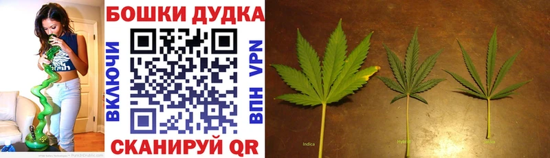 darknet клад  Калуга  Конопля AK-47  ссылка на мегу как войти 